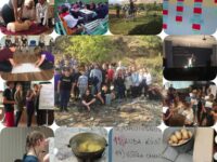 Приключения на острове